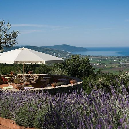 Borgo La Pietraia Hotel Paestum Bagian luar foto